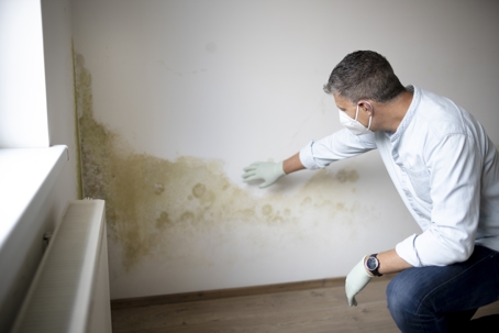 man with mask on evaluating mold in home