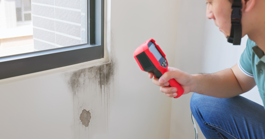 Home inspector use thermal imager