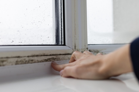 Woman touching the wet window with black moldy fungus.