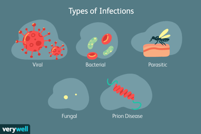 types of infections