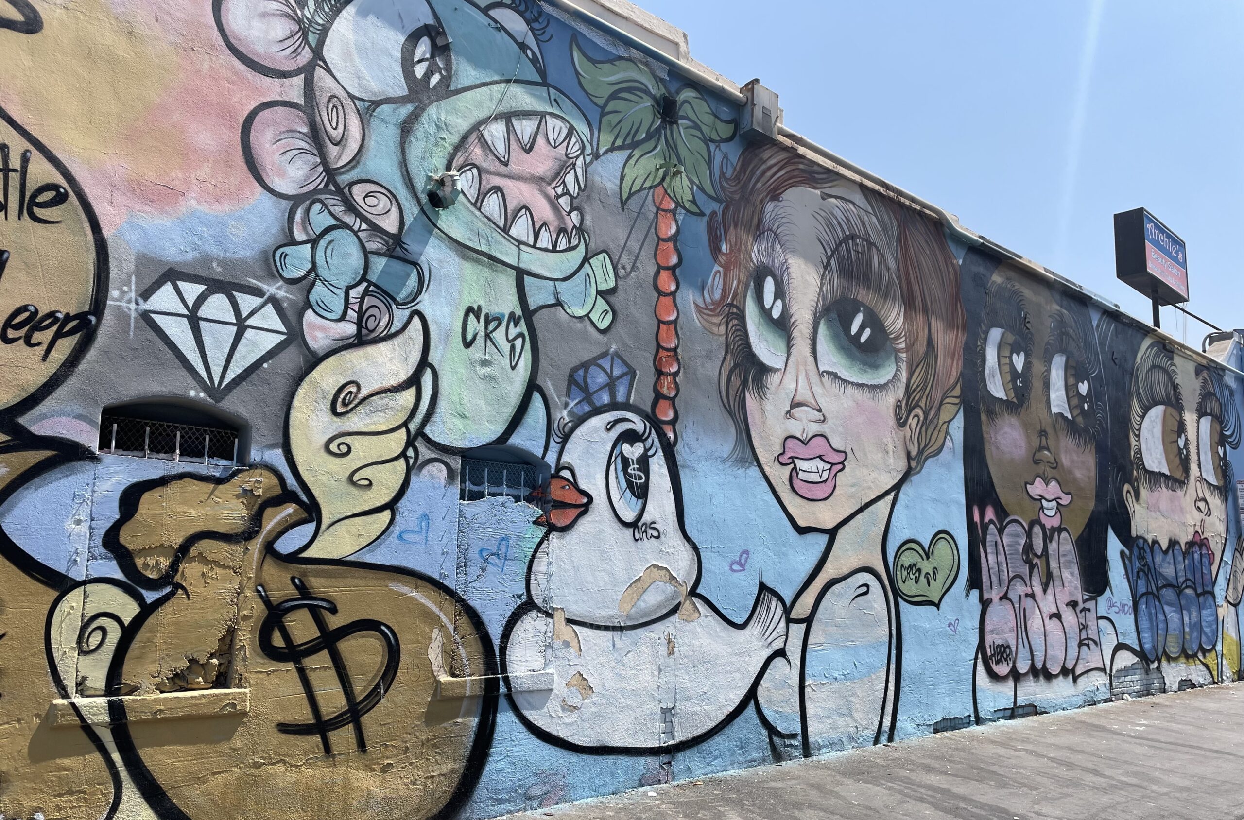 Asbestos Clearance Near MacArthur Park Photo