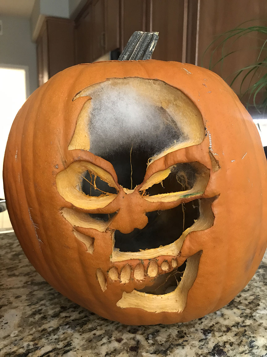 Halloween Mold is Coming Photo